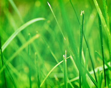 自动攻击网站工具下载